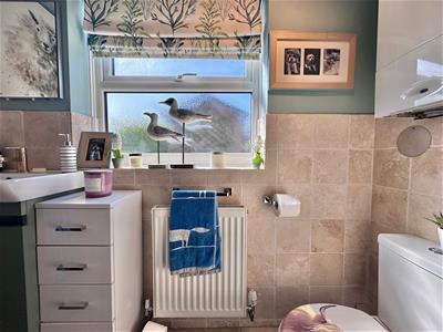 Picture 19
